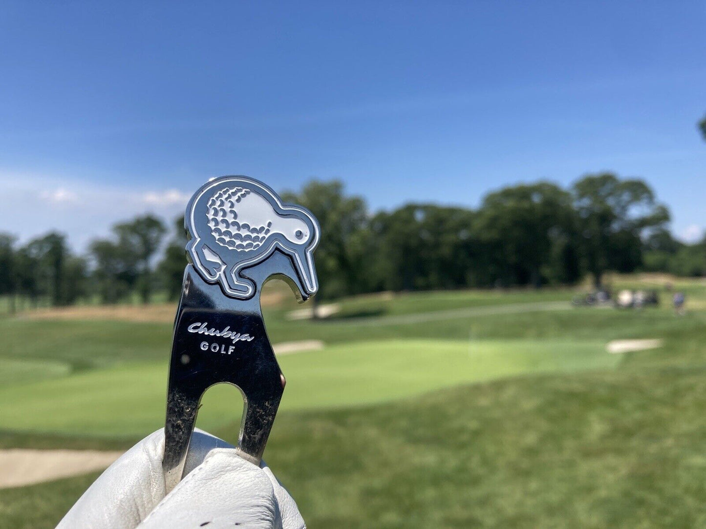 Chrome Kiwi Divot Tool